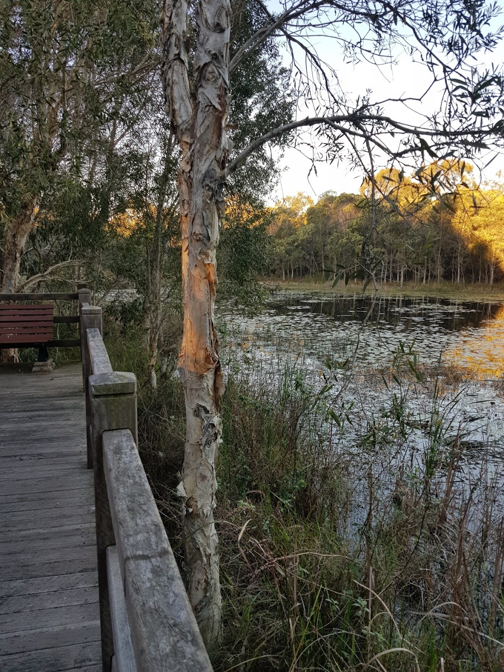 North Lakes Environmental Park | park | North Lakes QLD 4509, Australia | 0732050555 OR +61 7 3205 0555