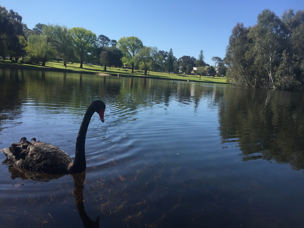 Shenton Park | park | Shenton Park WA 6008, Australia
