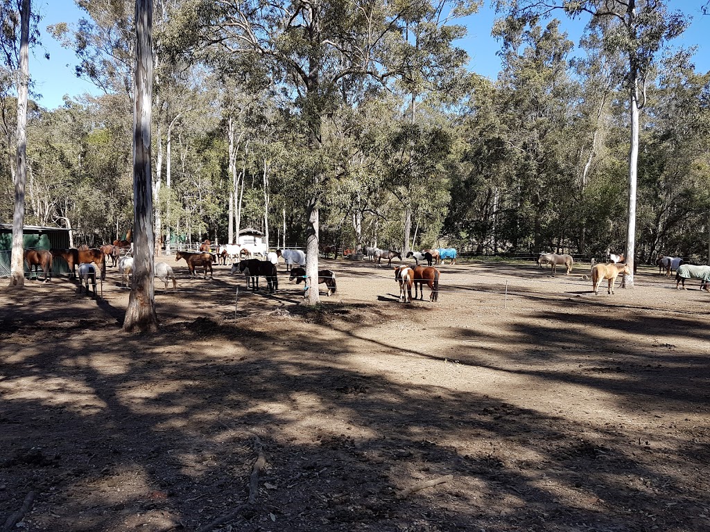 Slickers Horse Riding |  | 116 Dunlop Ln, Kurwongbah QLD 4503, Australia | 0732851444 OR +61 7 3285 1444