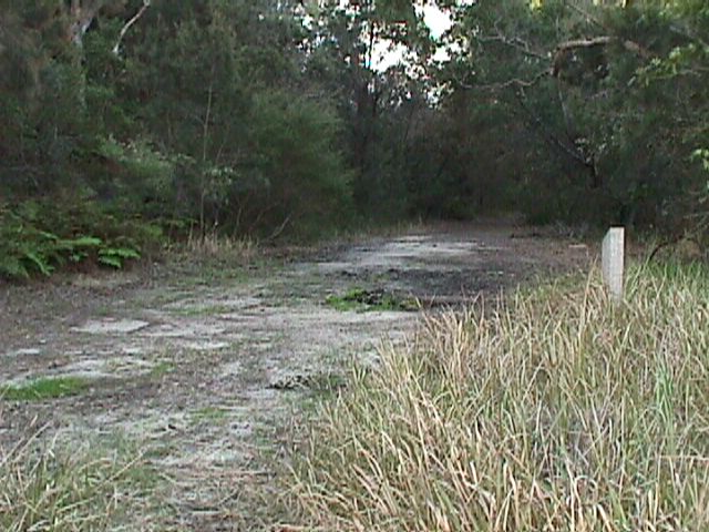 North Arm Walking Track | park | 6 Mannerim Pl, Castle Cove NSW 2069, Australia | 0297771000 OR +61 2 9777 1000