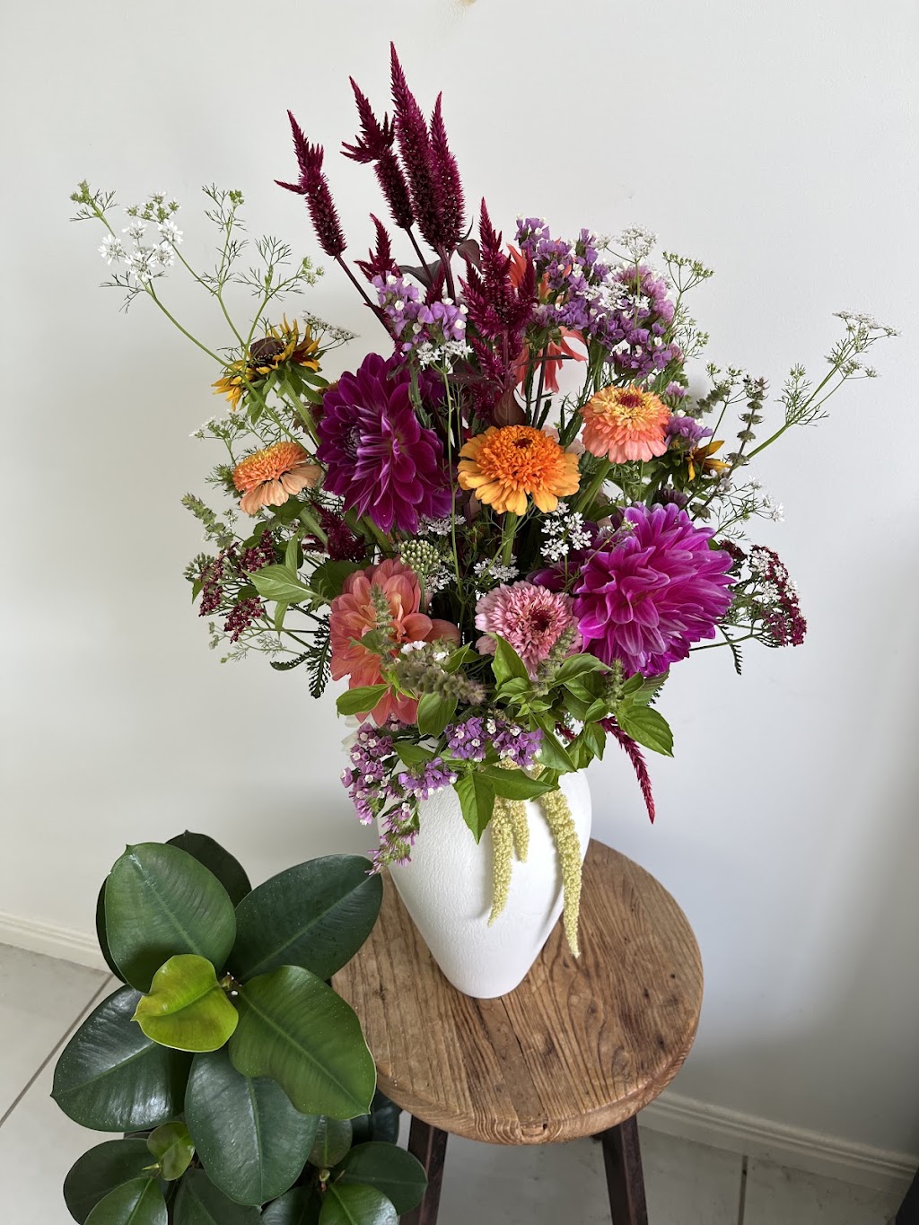 Blooms on View Flower Farm | 2299 Mount Mee Rd, Ocean View QLD 4521, Australia | Phone: 0434 828 825