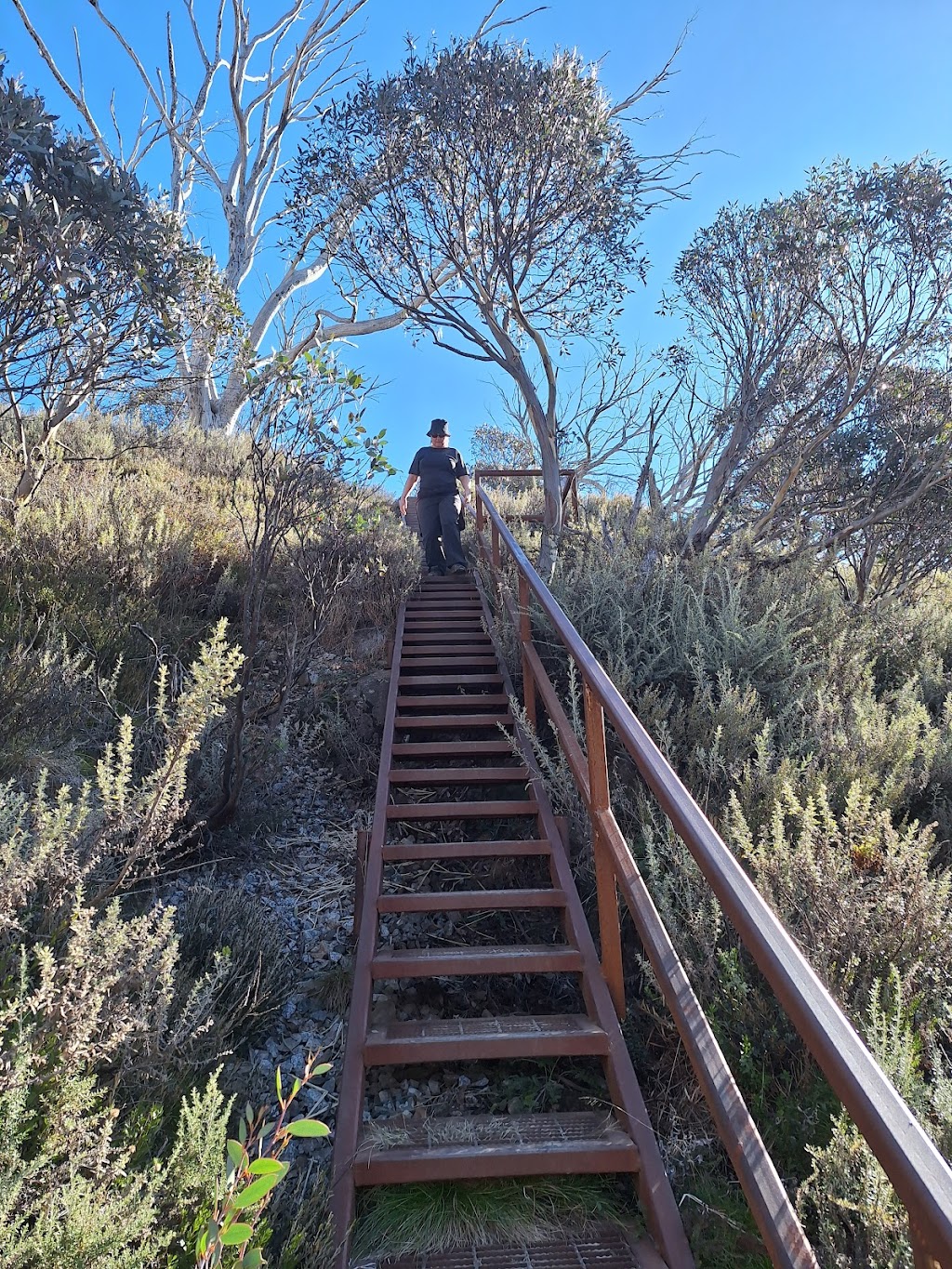 Guthega to Charlotte Pass walk | H8RV+24J, Guthega to Charlotte Pass Walk, Burrungubugge NSW 2627, Australia | Phone: (02) 6450 5600
