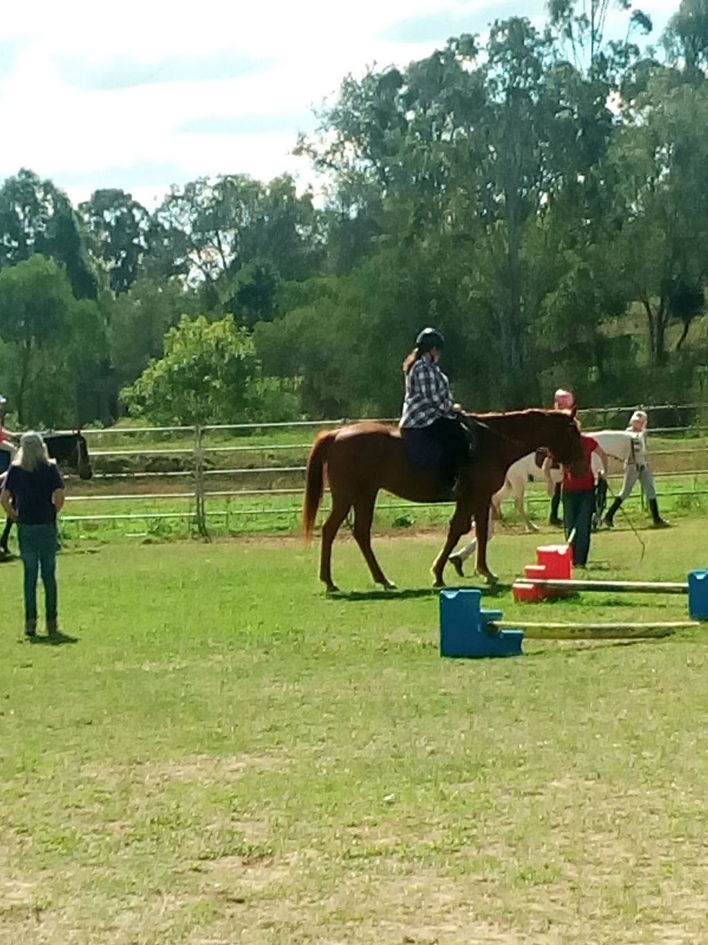 Vivienne Lander Horse Riding School | 1 Gehrke Hill Rd, Summerholm QLD 4341, Australia | Phone: (07) 5465 7472