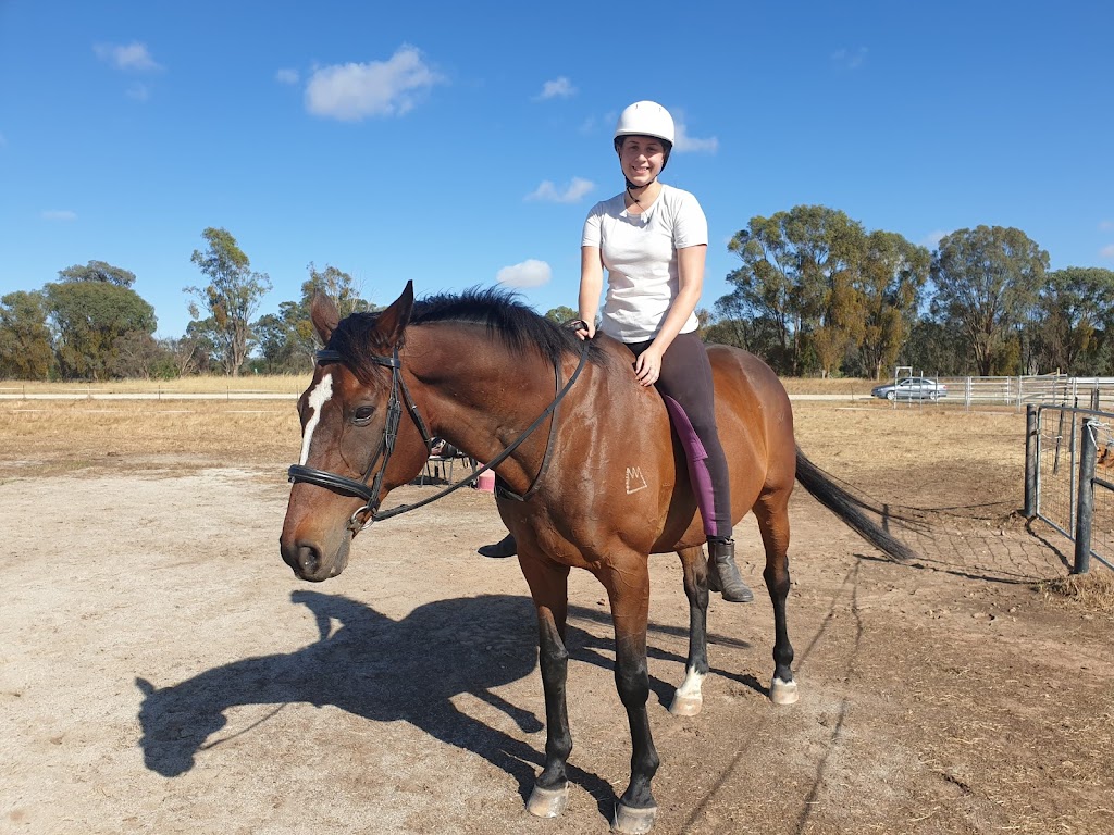 JW Equestrian | 109 Ryans Access Rd, Barnawartha VIC 3688, Australia | Phone: 0418 415 159