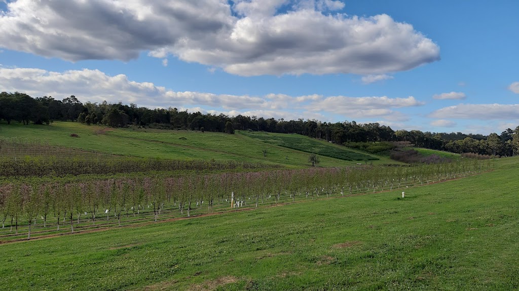 Raeburn Orchards | 4 Raeburn Rd, Roleystone WA 6111, Australia | Phone: (08) 9397 5325