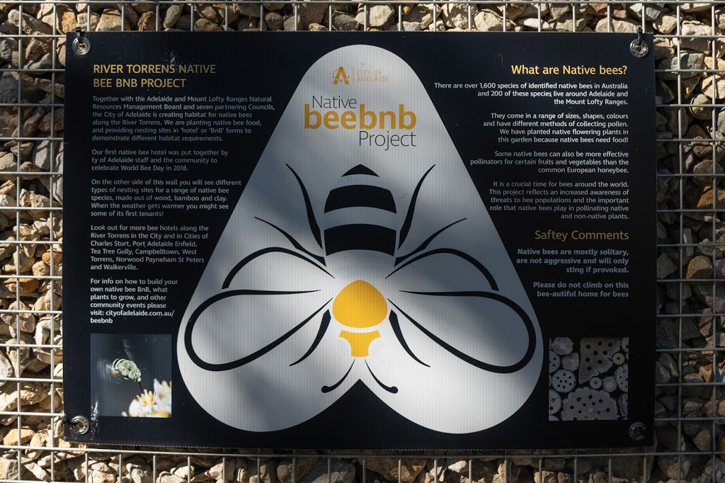 River Torrens Native Bee BNB Project | park | Adelaide SA 5000, Australia