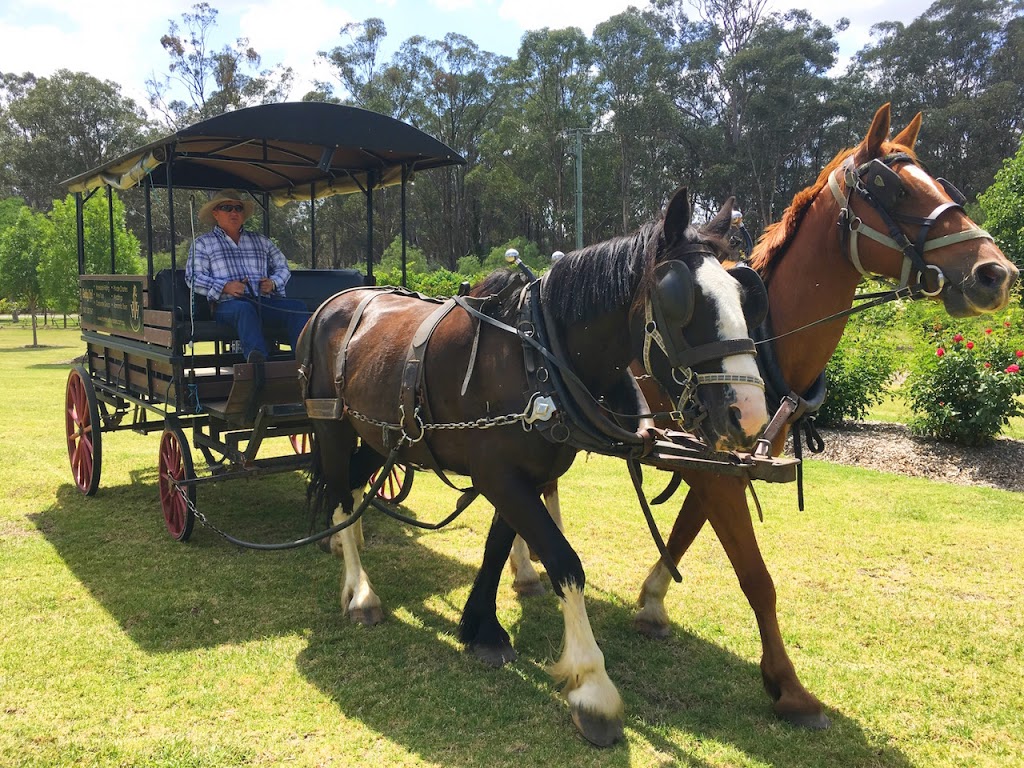 Hunter Valley Horses | travel agency | 917 Hermitage Rd, Pokolbin NSW 2320, Australia | 0431337367 OR +61 431 337 367