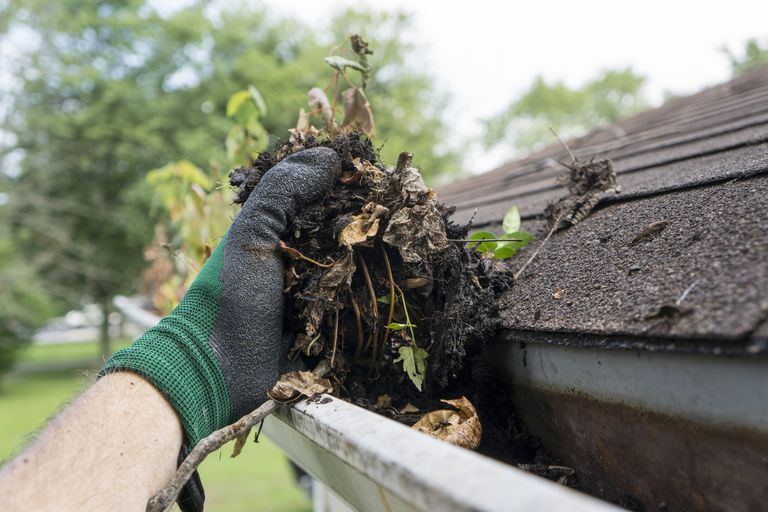 Gutter-Clean |  | 1 Anne St, Creswick VIC 3363, Australia | 0411514560 OR +61 411 514 560