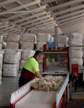 Australian Wool Testing Authority |  | AWH Wool Complex, 200 Whicker Rd, Gillman SA 5013, Australia | 0884474633 OR +61 8 8447 4633