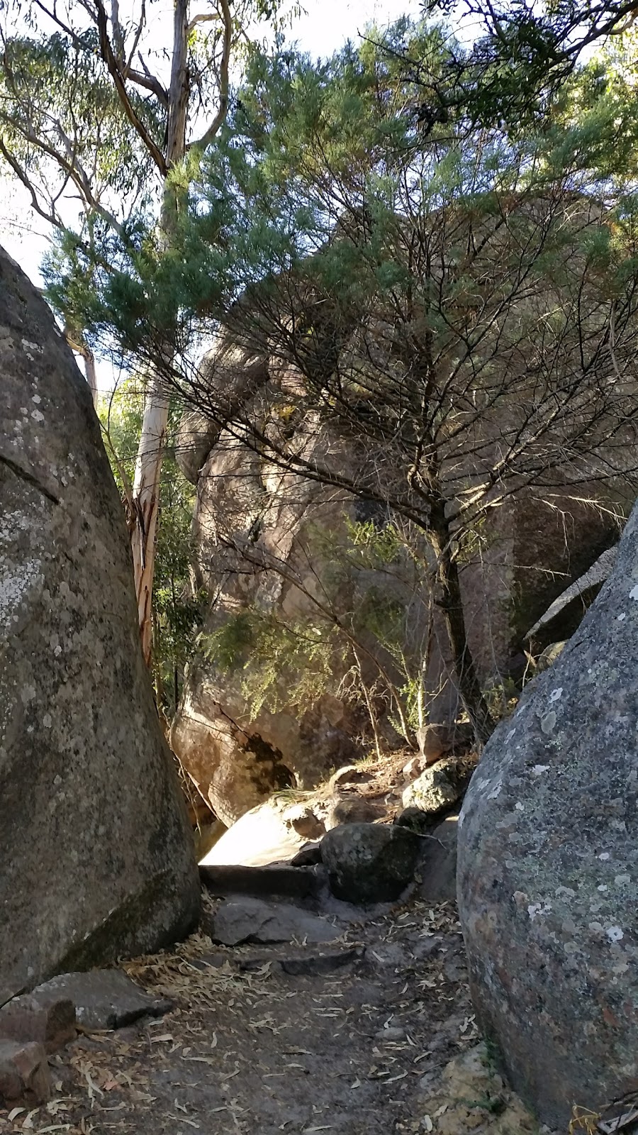 Halls Gap Visitor Information Centre | 117-119 Grampians Rd, Halls Gap VIC 3381, Australia | Phone: 1800 065 599