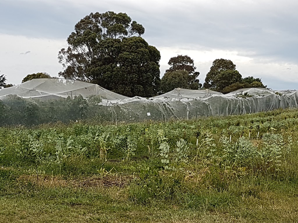 Sorell Fruit Farm | 174 Pawleena Rd, Sorell TAS 7172, Australia | Phone: (03) 6265 3100