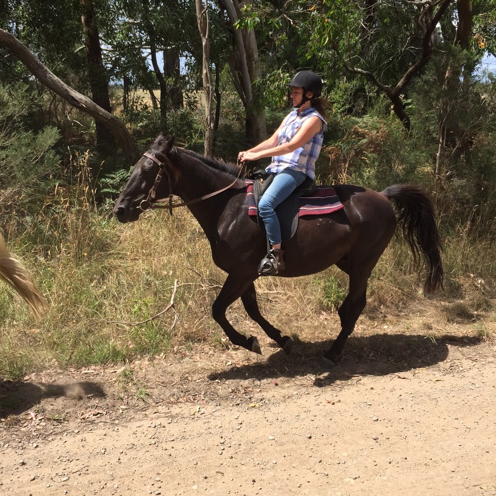 Arthurs Seat Indoor Equestrian Centre | travel agency | 579 Arthurs Seat Rd, Arthurs Seat VIC 3936, Australia | 0438892774 OR +61 438 892 774