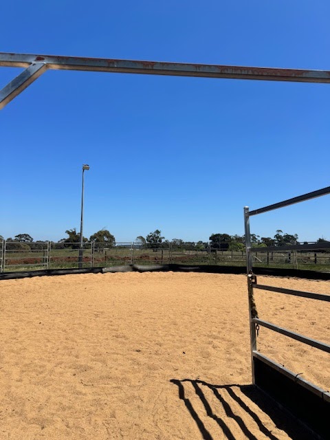 Illoura Equestrian | 1020 Daylesford-Malmsbury Rd, Glenlyon VIC 3461, Australia | Phone: 0421 611 201