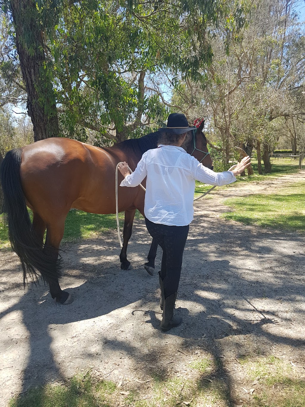 Rickety Ranch | 2 Phar lap drive Darling Downs, Byford WA 6122, Australia | Phone: 0417 177 482