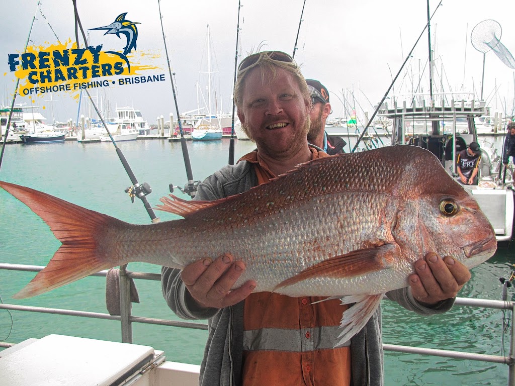 Frenzy Charters | William Gunn Jetty, Wyvernleigh Cl, Manly QLD 4179, Australia | Phone: 0427 424 576