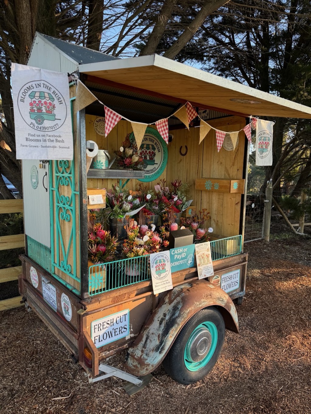 Blooms in the Bush | 405 Staughton Vale Rd, Staughton Vale VIC 3340, Australia | Phone: 0439 070 177