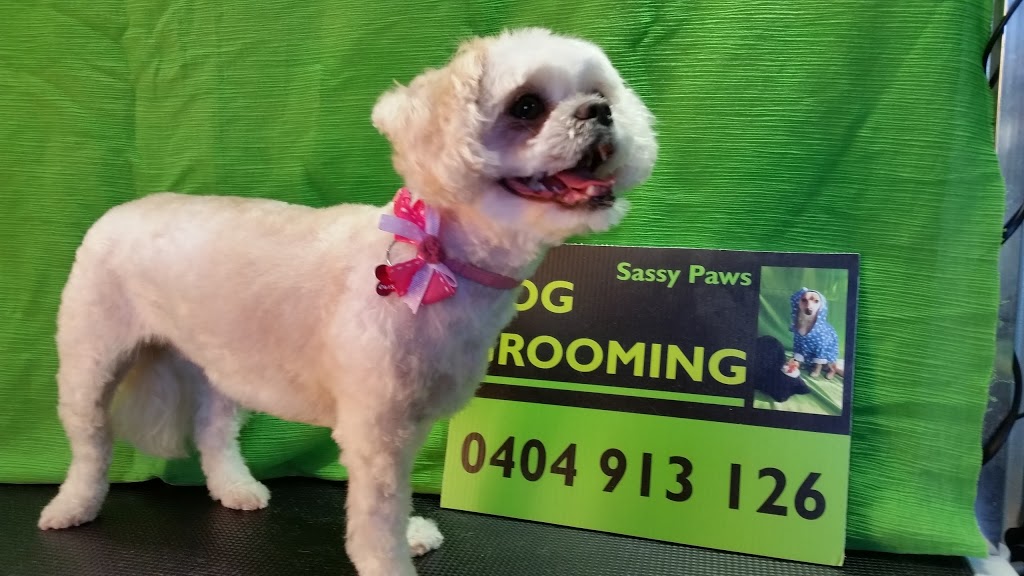 Sassy Paws Dog Grooming | 53 Rockley Ave, Baulkham Hills NSW 2153, Australia | Phone: 0404 913 126