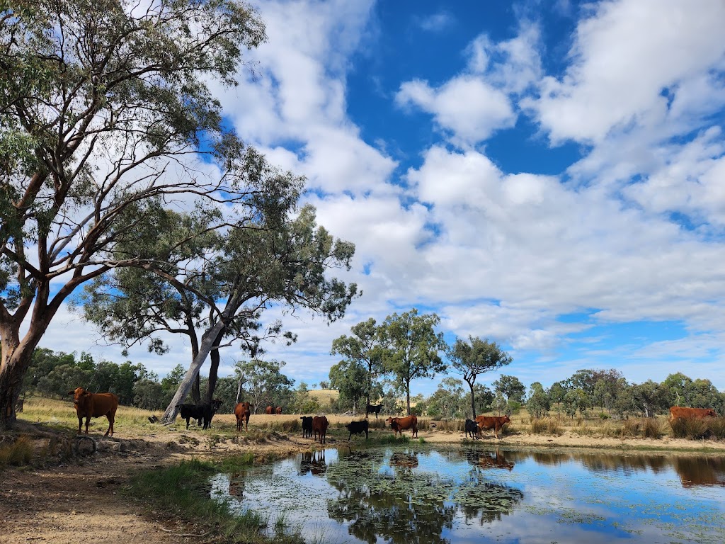 Verona Country Escape | 703 Verona Rd, Terrica QLD 4387, Australia | Phone: 0488 010 679 Verona Country Escape | 703 Verona Rd, Terrica QLD 4387, Australia | Phone: 0488 010 679