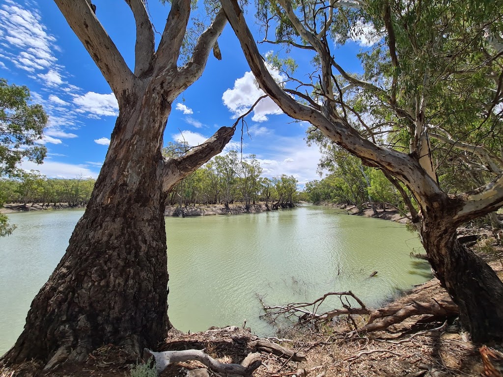 Yanga Woolshed | 312 Windomal Rd, Balranald NSW 2715, Australia | Phone: (03) 5020 1764