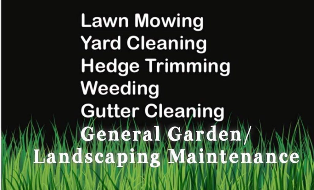 Pro-Cut Mowing | general contractor | 60 Ridge St, South Grafton NSW 2460, Australia | 0467605697 OR +61 467 605 697