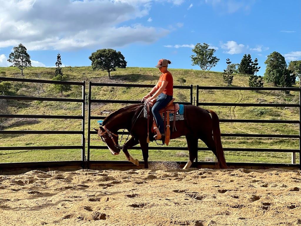 Watson Equine | 30 Doomben Ct, Beechmont QLD 4211, Australia | Phone: 0432 891 400