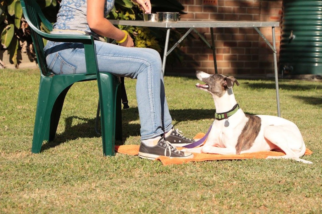 Polite Paws Dog Training, Puppy Preschool, Manners Classes & Beh | 213 Bexley Rd, Bexley NSW 2206, Australia | Phone: 0432 633 250