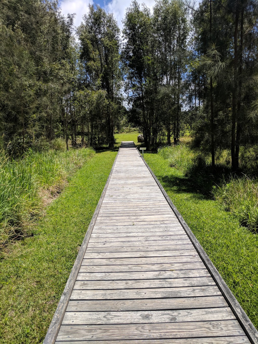 Cattai Wetlands | Spring Hill Rd, Coopernook NSW 2426, Australia | Phone: (02) 6592 5399