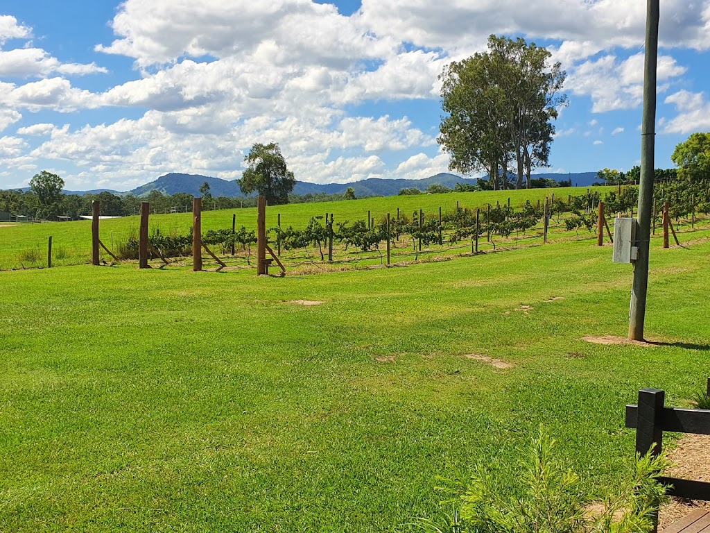 Dingo Creek Vineyard | 265 Tandur Traveston Rd, Traveston QLD 4570, Australia | Phone: 0438 851 731