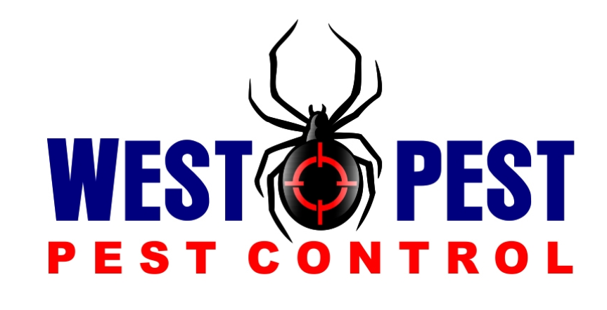 West Pest Pest Control | home goods store | Shed 3/211 Princes Hwy, Port Fairy VIC 3284, Australia | 0355683391 OR +61 3 5568 3391