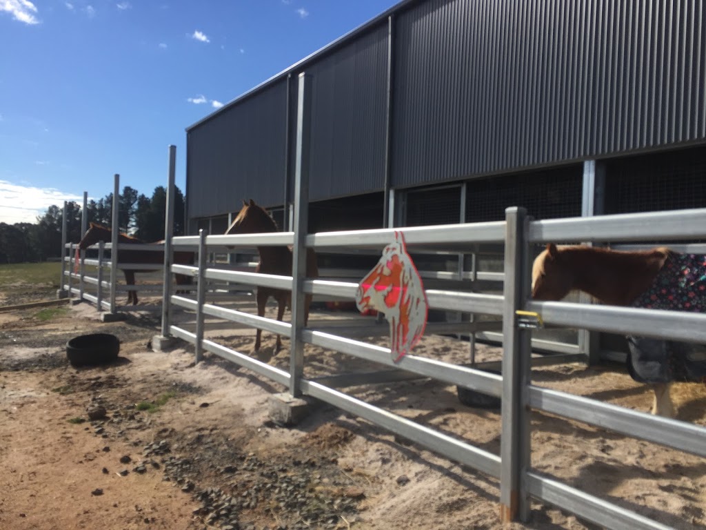 Equine Care Clinic Pty. Ltd. | 96 Diamonds Rd, Lal Lal VIC 3352, Australia | Phone: 0408 554 823