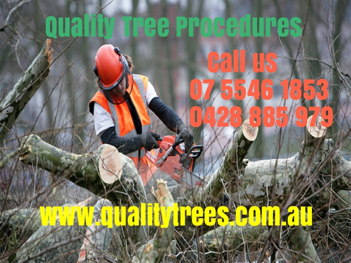 Tree Removals Gold Coast | general contractor | 459 Stapylton Jacobs Well Rd, Stapylton QLD 4207, Australia | 0428885979 OR +61 428 885 979