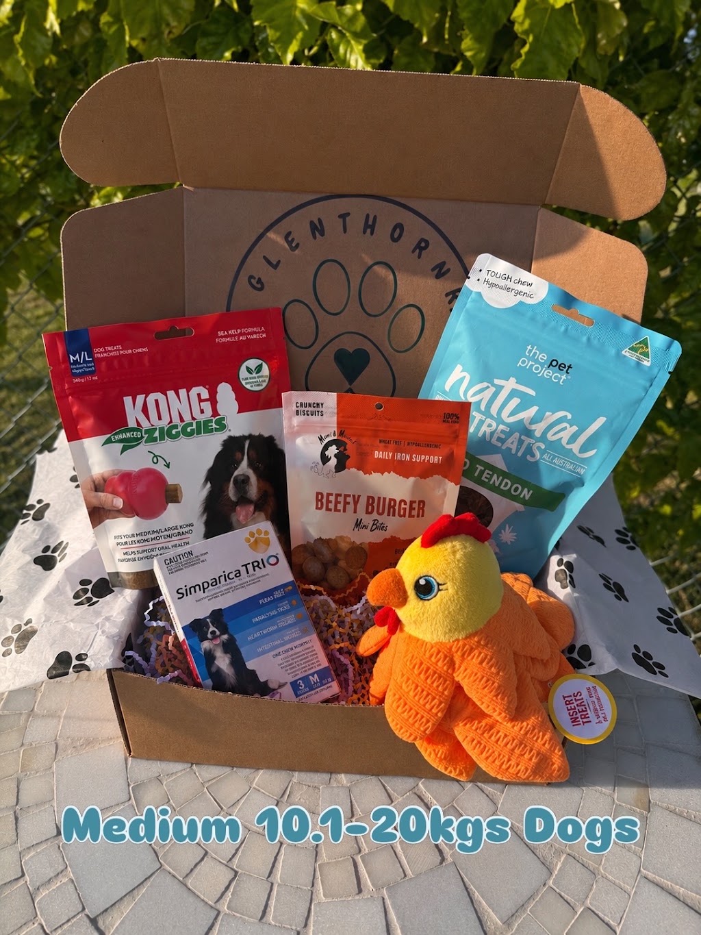 Glenthorne Paw Packs | Glen Martin Rd, Glen Martin NSW 2321, Australia | Phone: 0423 224 346