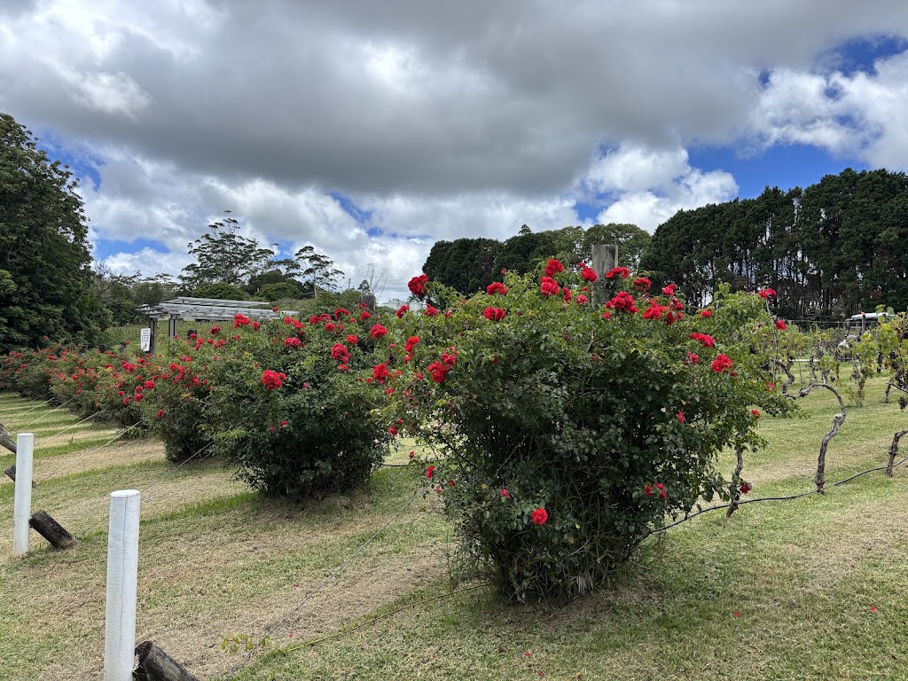 Cedar Creek Estate Weddings | 104 Hartley Rd, Tamborine Mountain QLD 4272, Australia | Phone: 0406 706 063