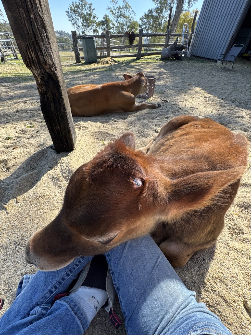 The Karma Collective | 4 Hendy St, Cranley QLD 4350, Australia | Phone: 0428 981 258