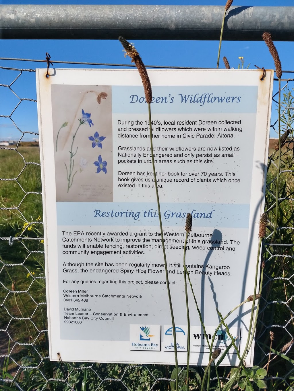 Doreens Wildflowers | park | Altona VIC 3018, Australia