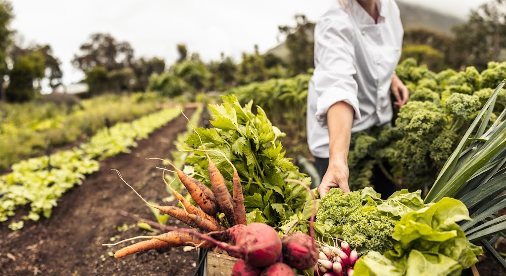 Tristania Farm | 25 Kirkland Rd, Nimbin NSW 2480, Australia | Phone: 0438 420 091