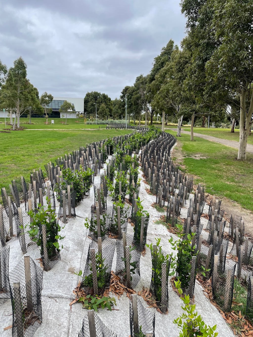 Acacia Environmental Management - Geelong | Runway at Federal Mills, 33 Mackey St, Geelong VIC 3215, Australia | Phone: (03) 9710 1166