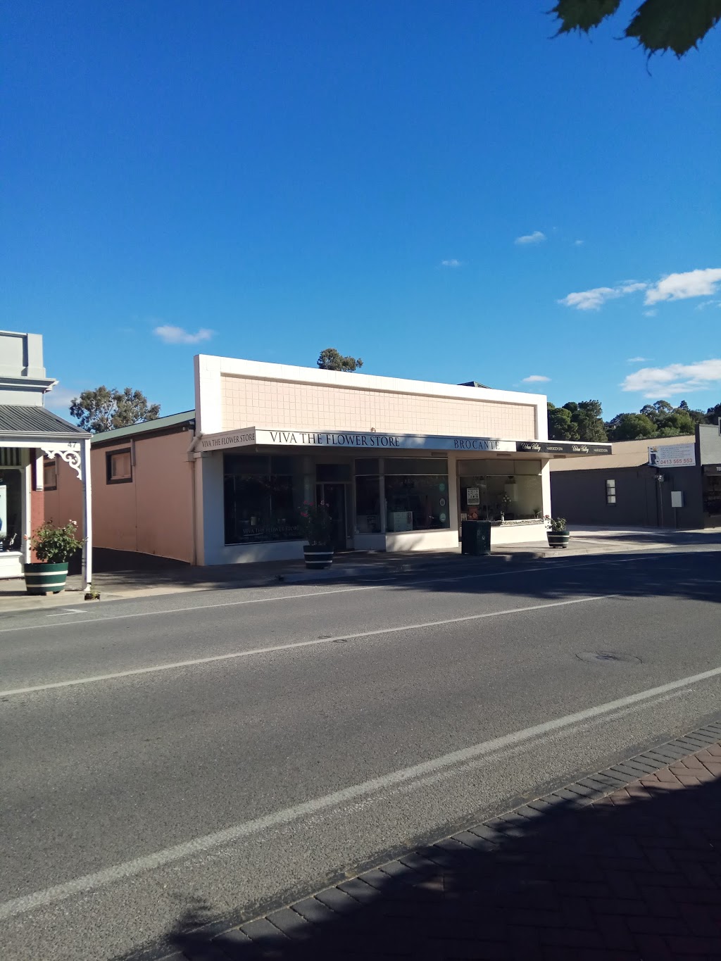 Viva The Flower Store | florist | Rear of, 49A Murray St, Angaston SA 5353, Australia | 0885643393 OR +61 8 8564 3393