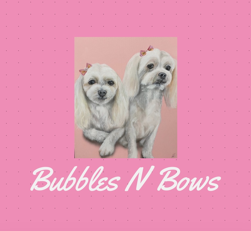 Bubbles n Bows dog wash and grooming |  | 161 Macquarie Ave, Cessnock NSW 2325, Australia | 0404493466 OR +61 404 493 466