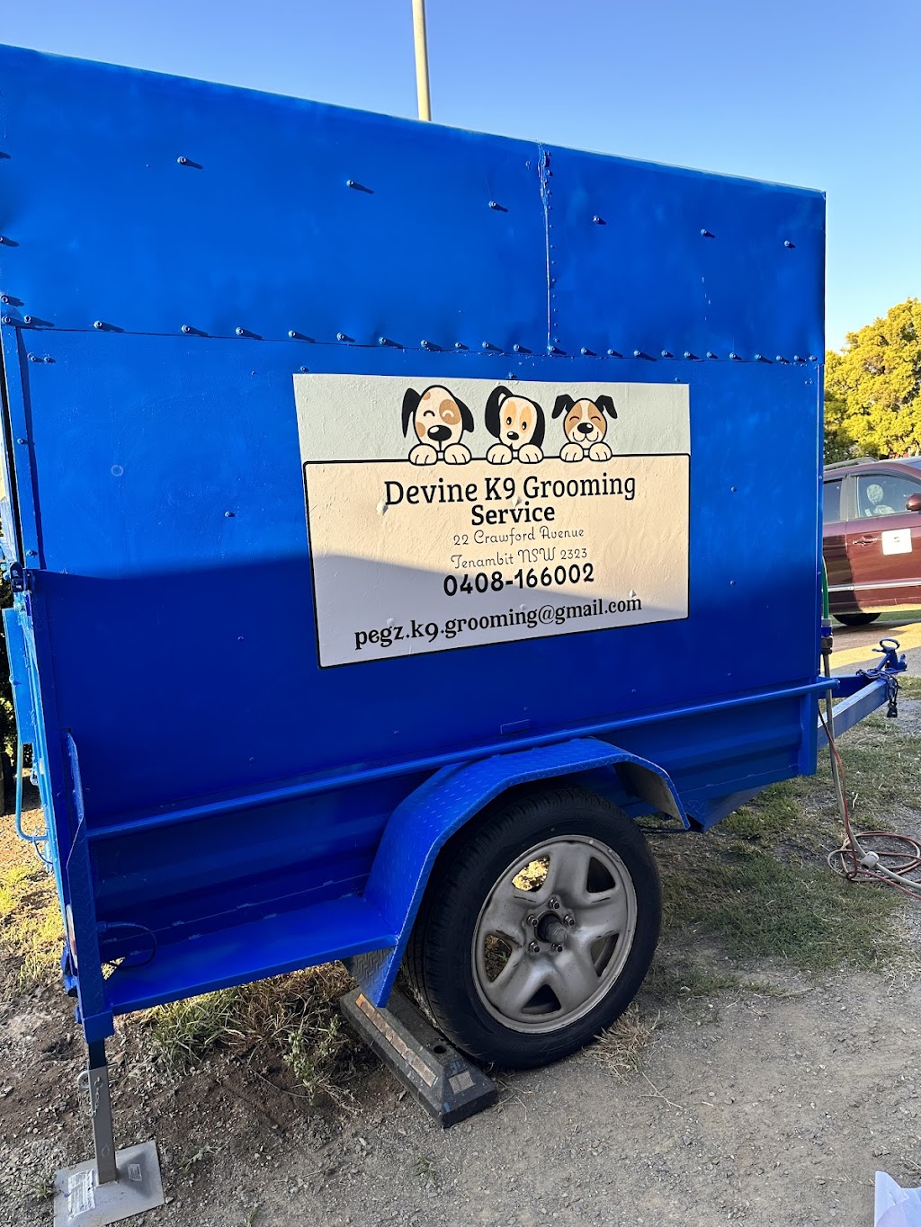 Devine K9 Grooming Service | 22 Crawford Ave, Tenambit NSW 2323, Australia | Phone: 0408 166 002