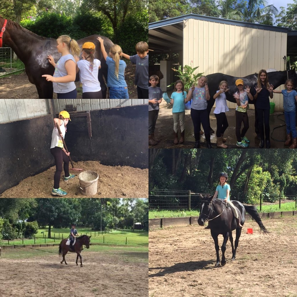 Equine Education Institute | 30 Bamboo Rd, Palmwoods QLD 4555, Australia | Phone: 0406 539 973