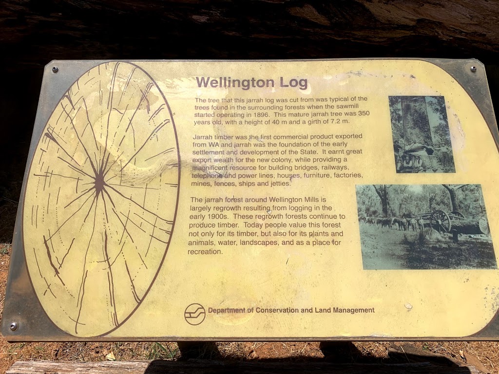 Wellington Log | 546 Wellington Mill Rd, Wellington Mill WA 6236, Australia