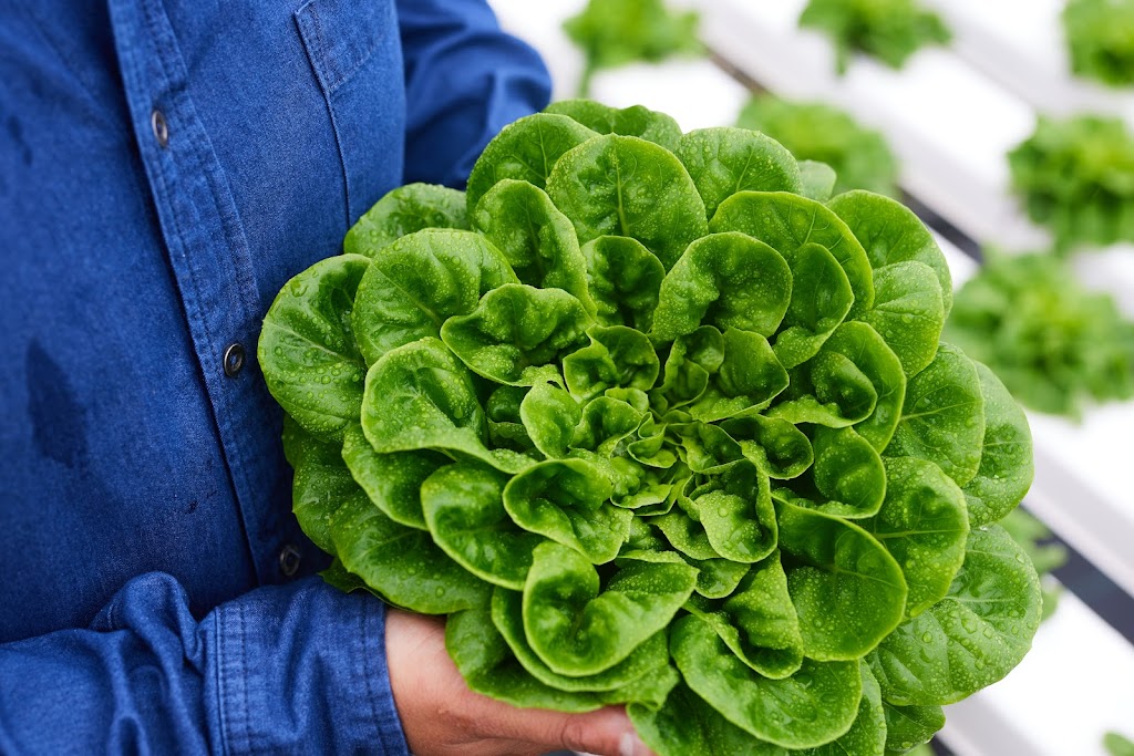 Windy Hills Farm NSW | 35 Sylvan Rd, Werombi NSW 2570, Australia | Phone: (02) 4653 2222