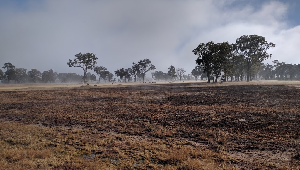 Stanthorpe Golf Course | 54 Amosfield Rd, Stanthorpe QLD 4380, Australia | Phone: (07) 4681 1276