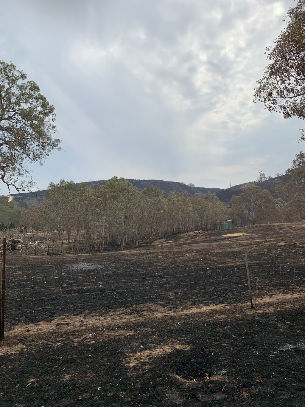 Hendell | 546 Pyrites Rd, Brukunga SA 5252, Australia