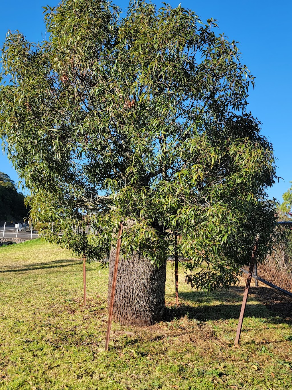 Habitat Mt Kynoch | Shuttlewood Ct, Mount Kynoch QLD 4350, Australia | Phone: 0422 135 756