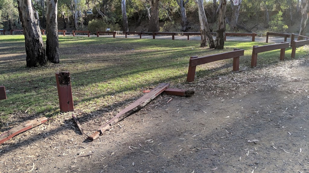 Echuca Moama parkrun | health | Lions Park, Campaspe Esp, Ogilvie Ave, Echuca VIC 3564, Australia