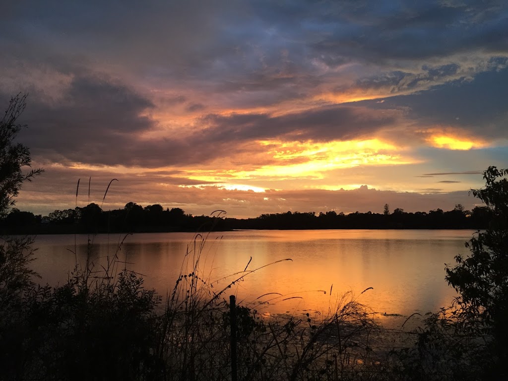 Gerry Cook Fish Hatchery | Mary River Cod Park, Collwood Road, Lake MacDonald QLD 4563, Australia | Phone: 0407 126 256