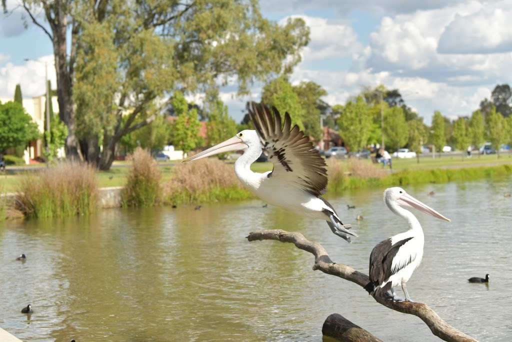 Allie James Photography | 308-284 Archer St, Shepparton VIC 3630, Australia | Phone: 0487 077 578