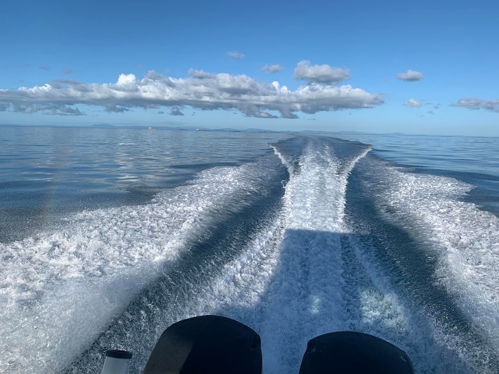 Cast & Catch Charters | 15 Williams Rd, Alligator Creek QLD 4740, Australia | Phone: 0429 833 045